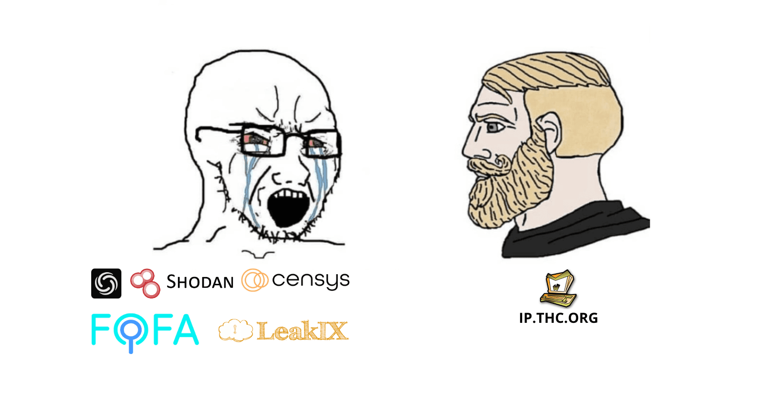 ip.thc.org - a “Censys/Shodan” for the world of domains (5.14 billion records)